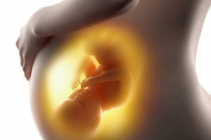 istockphoto 529208565 612x612 1