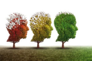 istockphoto 647358008 612x612 1