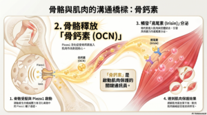 unnamed 1